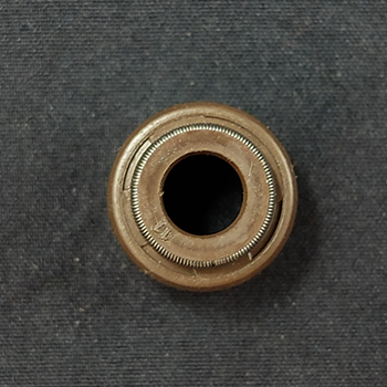 Viton Engine Valve Stem Oil Seal