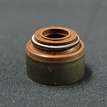 Valve Guide Olíuþéttingar